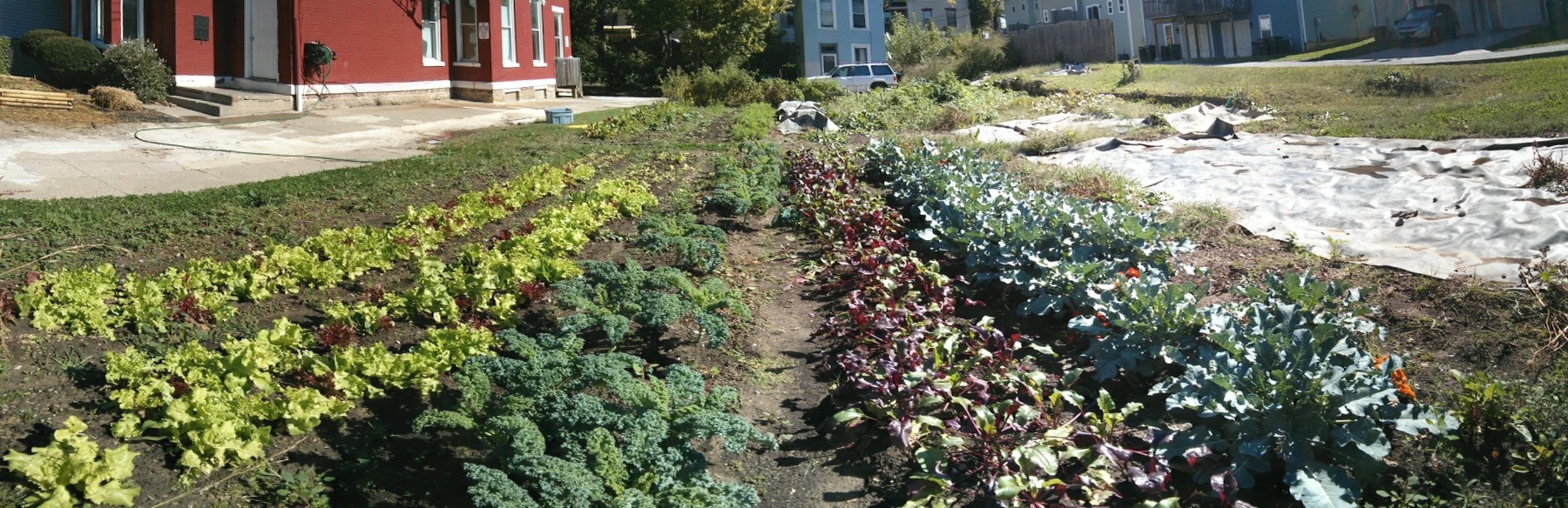 Garden panoramic